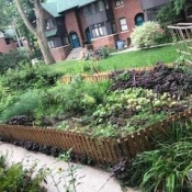 Bain co-op Gardening Crew 2