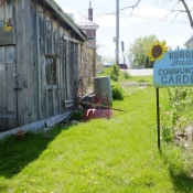Two Rivers Neighbourhood Community Garden 1