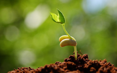 The New 2015 Website Is Coming Along Nicely